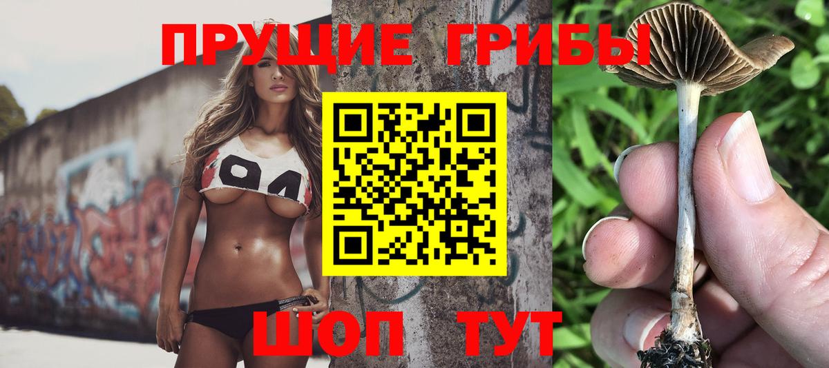 Псилоцибиновые грибы прущие грибы  Вход с VPN  Партизанск  Псилоцибиновые грибы мухоморы 