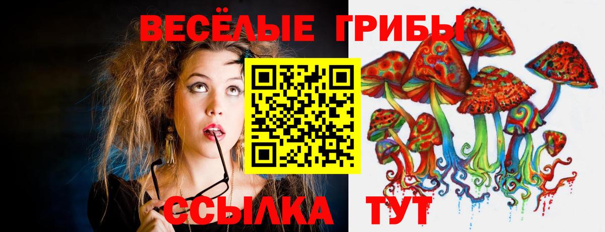 Псилоцибиновые грибы мухоморы Партизанск